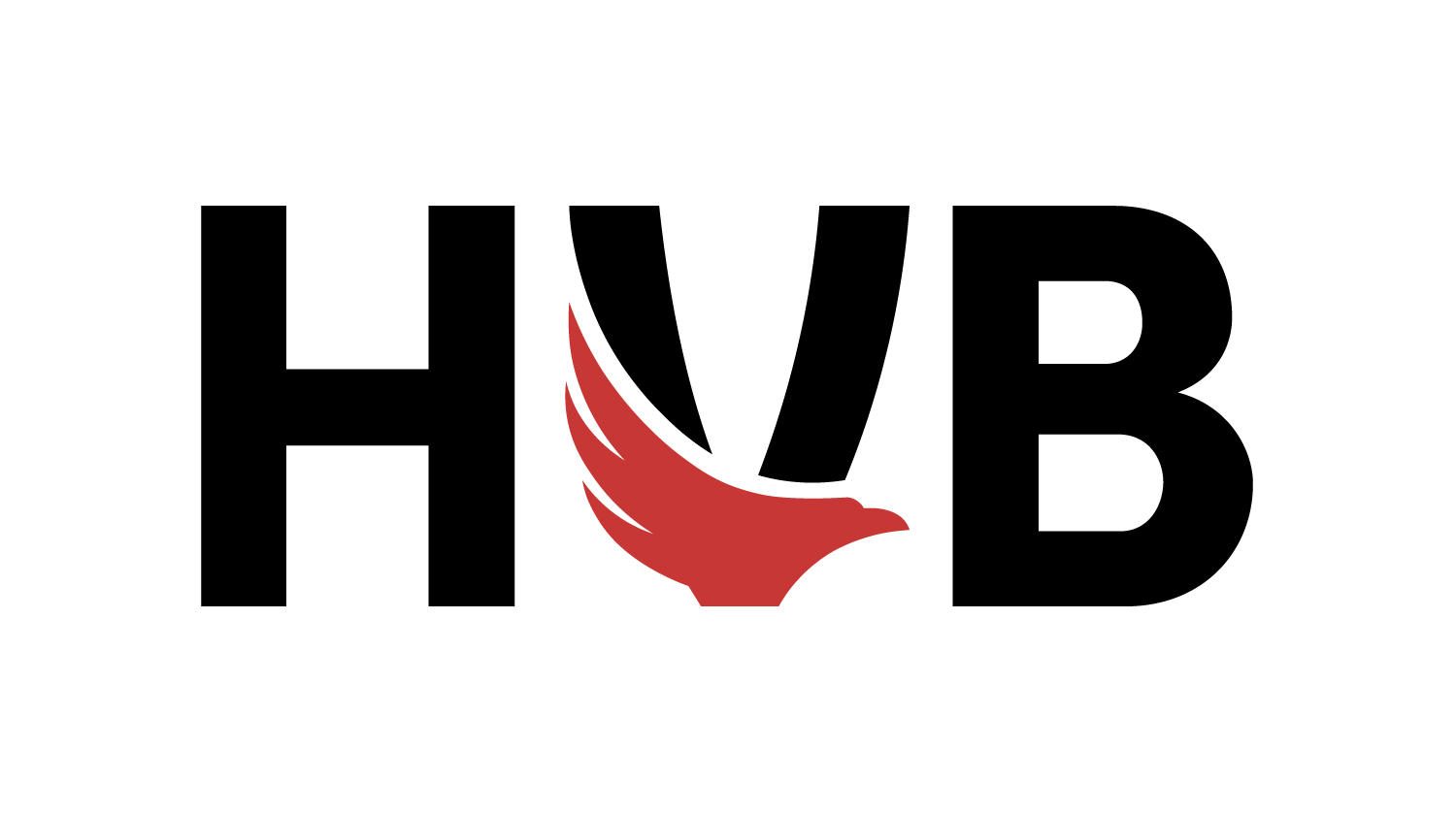 HANDBALLVERBAND BRANDENBURG